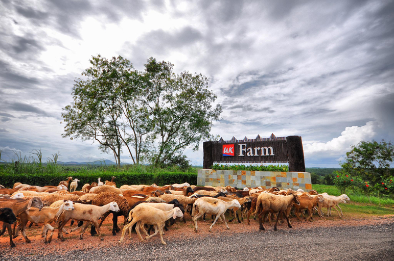 Others 2, UK Farm Agro Resort, Batu Pahat