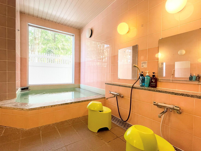 Bathroom 4, HAKUBA Moegi HOTEL, Hakuba