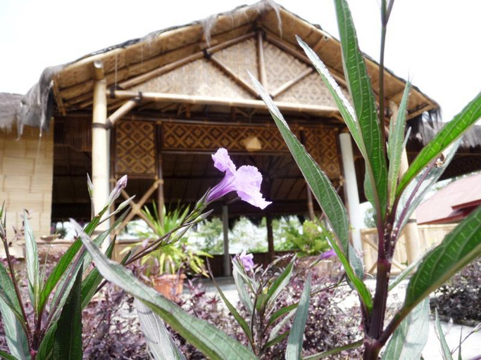 Others 5, Pondok Bamboo Sendangsari, Wonosobo