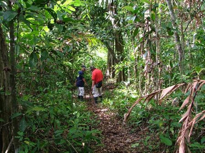 Others 5, Tanini Kinabatangan, Kinabatangan