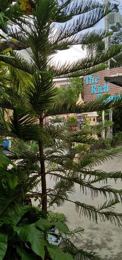 Others 4, The Rich Room Accommodation Nakhon Ratchasima Near Central, Muang Nakhon Ratchasima