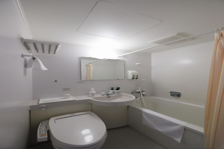Bathroom 4, Smile Hotel Takaoka Ekimae, Takaoka