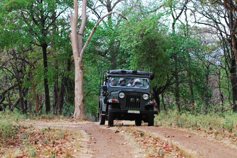Others 3, K Gudi Wilderness Camp-Jungle Lodges, Chamrajnagar