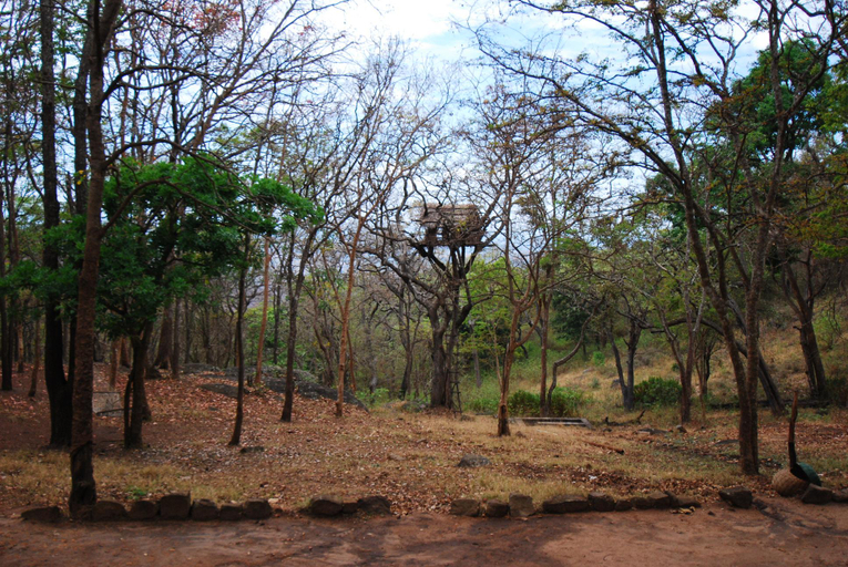 Others 2, K Gudi Wilderness Camp-Jungle Lodges, Chamrajnagar