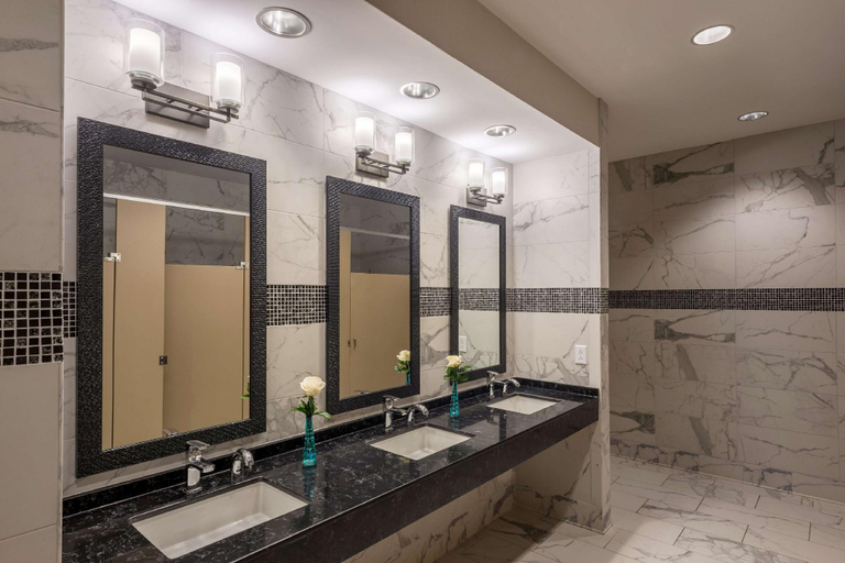 Bathroom 3, Hilton Garden Inn Memphis East Germantown, Shelby