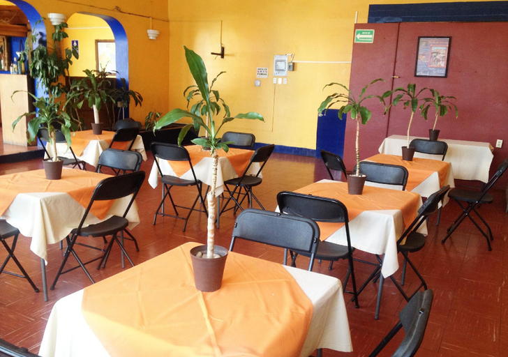 Others 4, MyHotel Arbol Grande, Morelia
