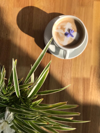 Food & Drinks 8