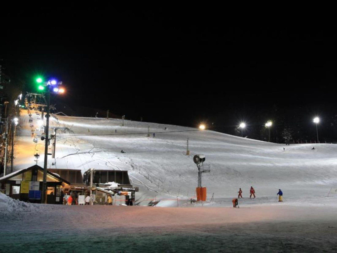 Alpine Chalets Hakuba, Hakuba