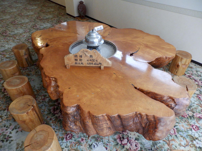 Public Area 2, Hotel Tagawa, Yamanouchi
