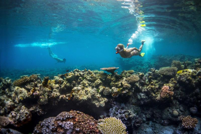 Others 3, The Havannah - Vanuatu, Malorua
