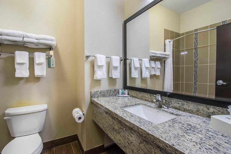 Bathroom 5, Comfort Inn & Suites, Division No. 11
