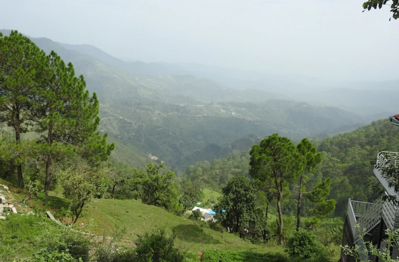 Others 4, Green Palms Rubystone Exotic, Garhwal