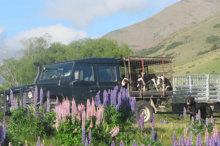 Others 2, Dunstan Downs High Country Sheep Station Farmstay & Backpackers, Waitaki
