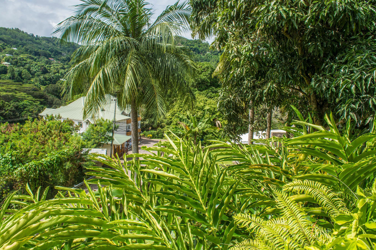 Others 3, Anse Soleil Resort