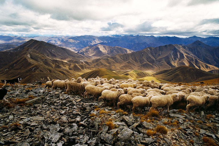 Others 3, Dunstan Downs High Country Sheep Station Farmstay & Backpackers, Waitaki