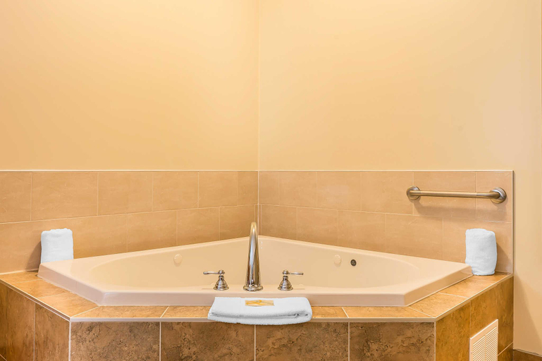 Bathroom 4, Quality Inn & Suites, Prescott and Russell