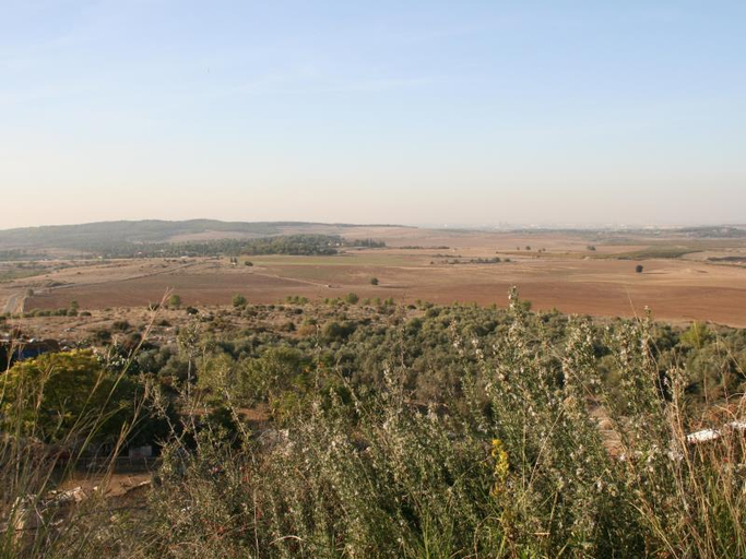 Others 5, Neve Shalom Hotel