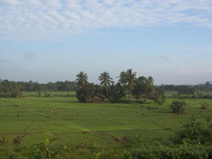 Others 5, Pleasure Island Guest House, Dambulla