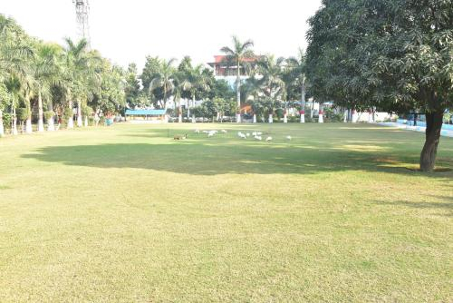Garden 5, Signum CityScapes Bhiwadi, Alwar