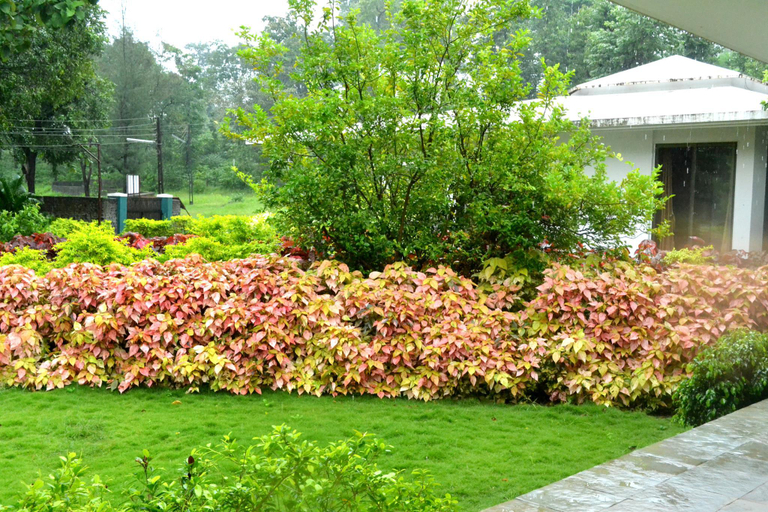 Others 5, Forest Village Holiday Homes, Dadra and Nagar Haveli