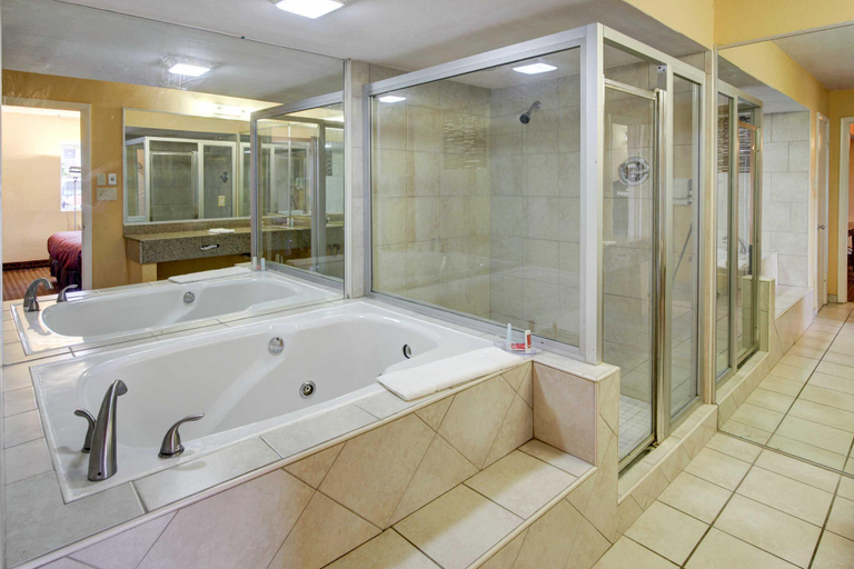 Bathroom, Econo Lodge at Military Circle, Norfolk