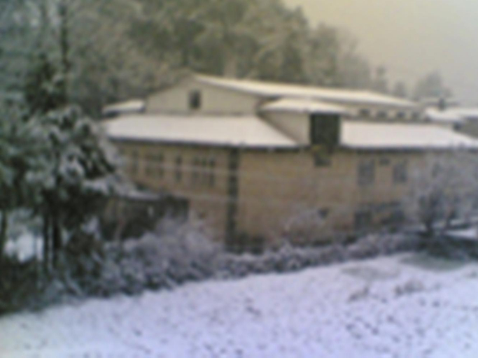 Others 4, Langdale Manor , Nainital