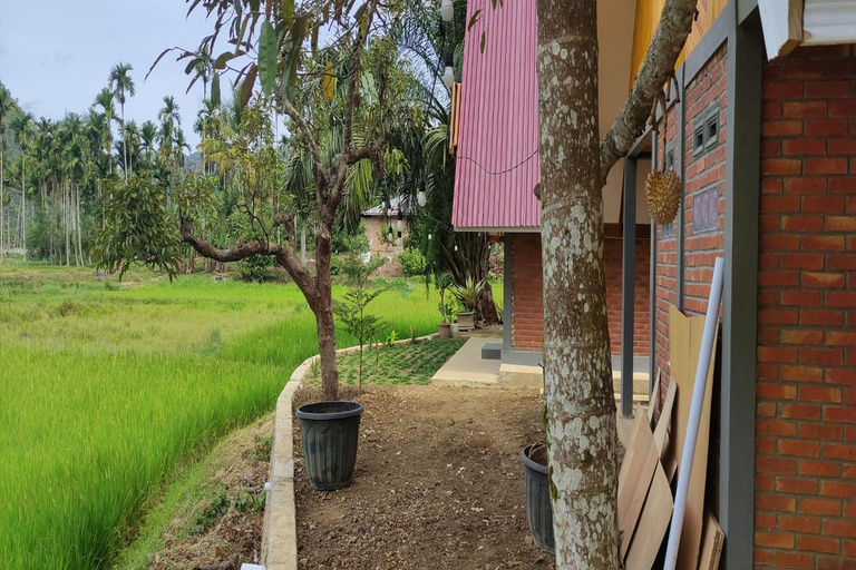 Exterior & Views 5, Vioova Homestay, Lima Puluh Kota