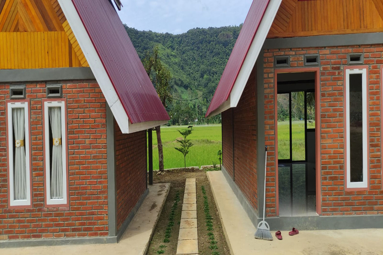Exterior & Views 1, Vioova Homestay, Lima Puluh Kota