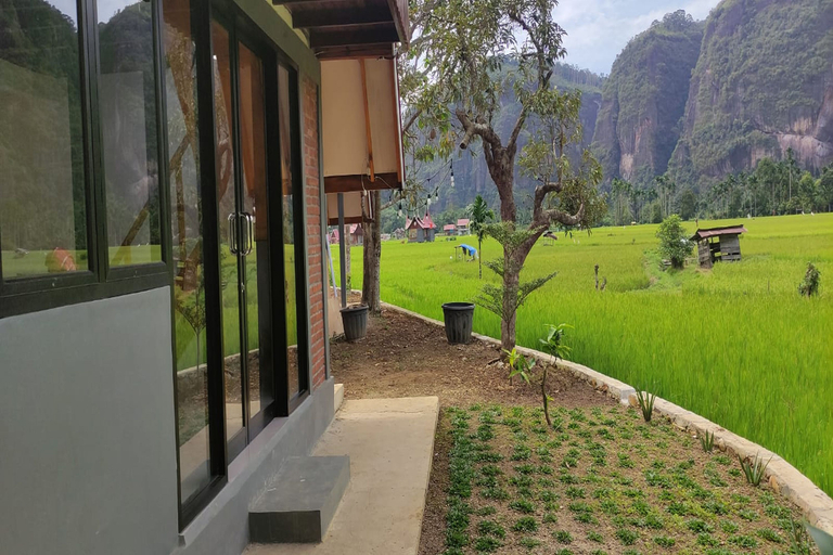 Exterior & Views 4, Vioova Homestay, Lima Puluh Kota