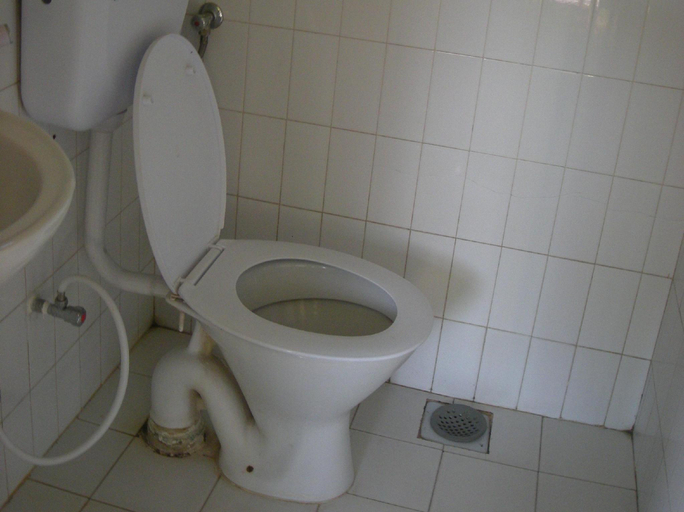 Bathroom 4, Hotel Yala Peak, Bagmati