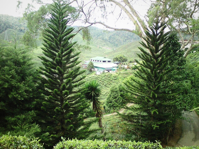 Others 5, David's Hotel Apartment @ Greenhill Resort, Cameron Highlands