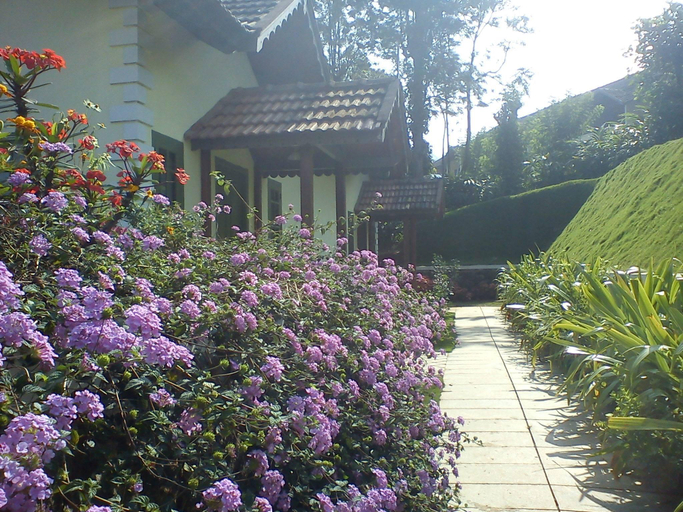 Others 5, Springdale Heritage Resort, Idukki
