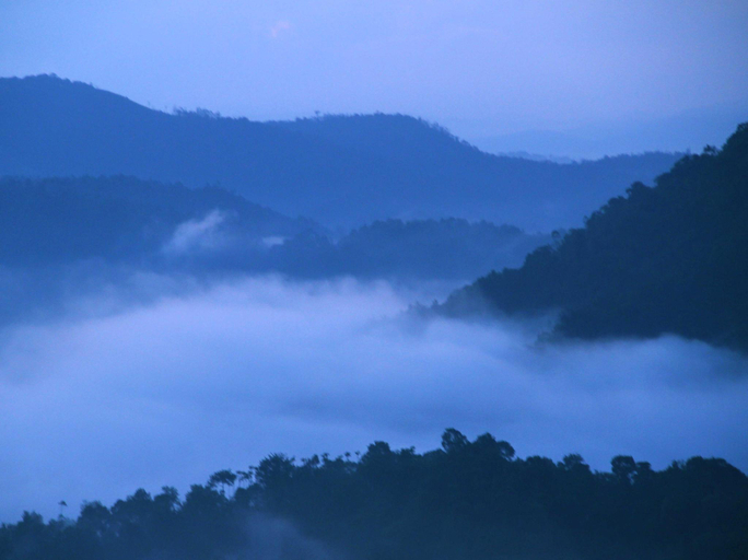 Others 5, Green Trees Resort, Idukki