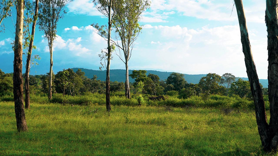 Others 5, The Windflower Jungle Resorts & Spa Bandipur, Chamrajnagar