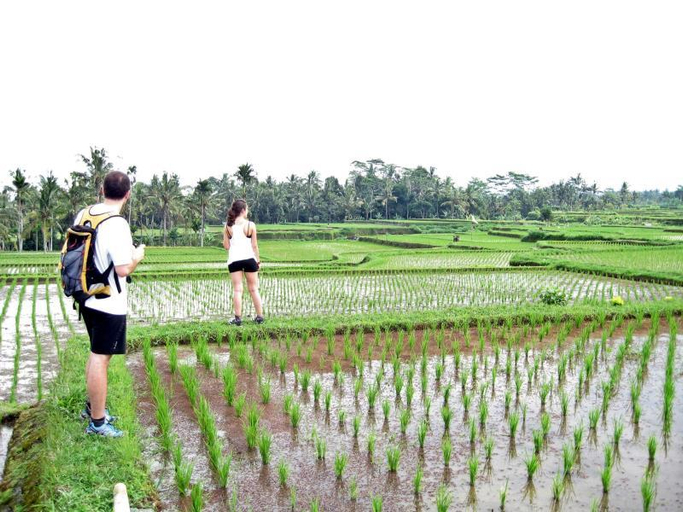 Others 5, Uma Caming House, Gianyar