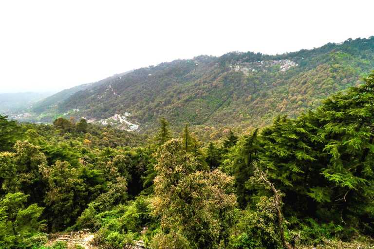 Public Area 3, Hotel Grand Hill, Kangra