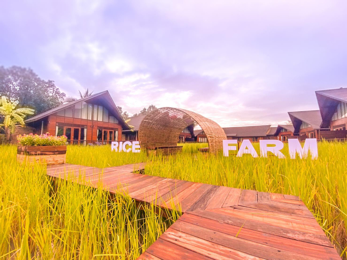 Rice Farm Villa, Muang Surat Thani