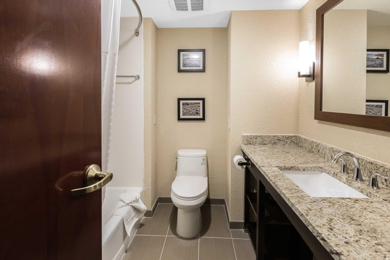 Bedroom 4, Comfort Inn & Suites Allen Park - Dearborn, Wayne