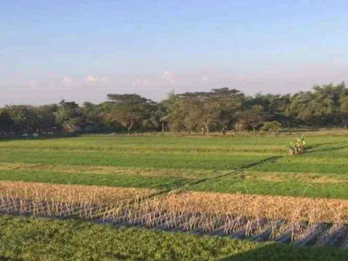 Exterior & Views 5, D'Sawah Guesthouse Klaten RedPartner, Klaten