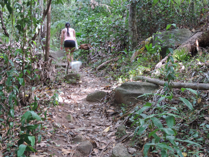 Others 5, Villa De Cerf Seychelles