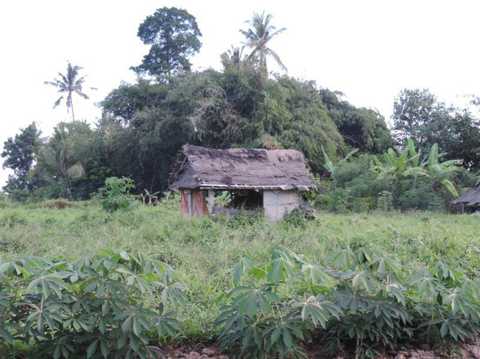 Exterior & Views 1, Duana Sari Ubud Guest House, Gianyar