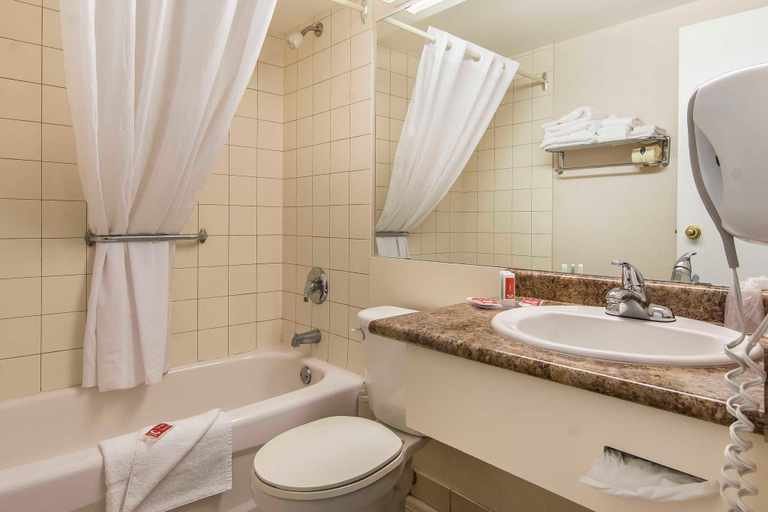 Bathroom 4, Econo Lodge, Simcoe
