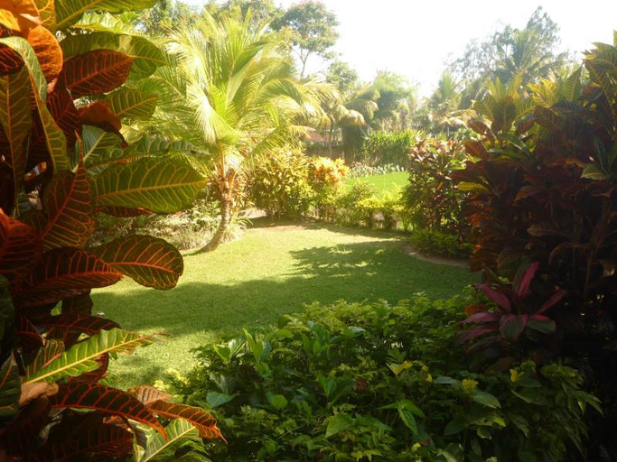 Others 4, Gerebig Bungalows, Gianyar