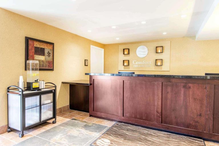 Public Area 2, Comfort Inn & Suites, Simcoe