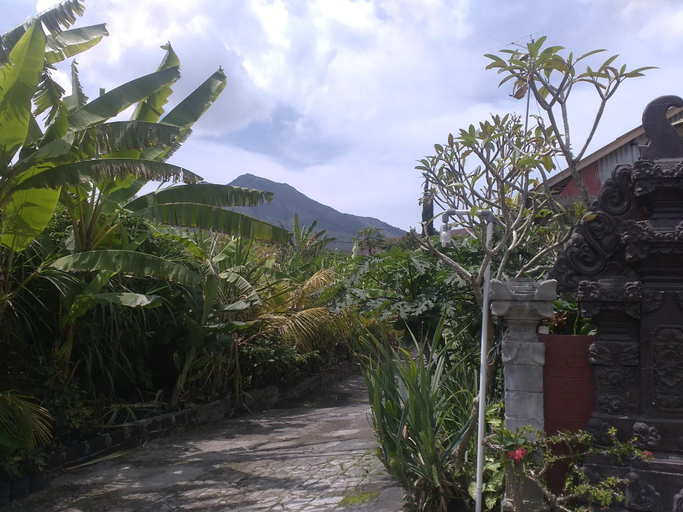 Others 5, Volcano 2 guesthouse, Bangli