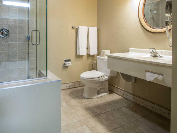 Bathroom 4, Bluegreen Odyssey Dells, Sauk