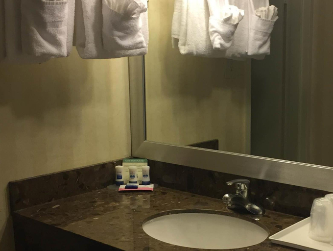 Bathroom 3, Hotel Pentagon, Arlington