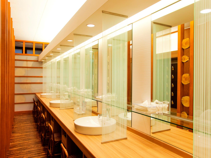 Bathroom 4, Shinappi Onsen Seiryukaku, Hachimantai