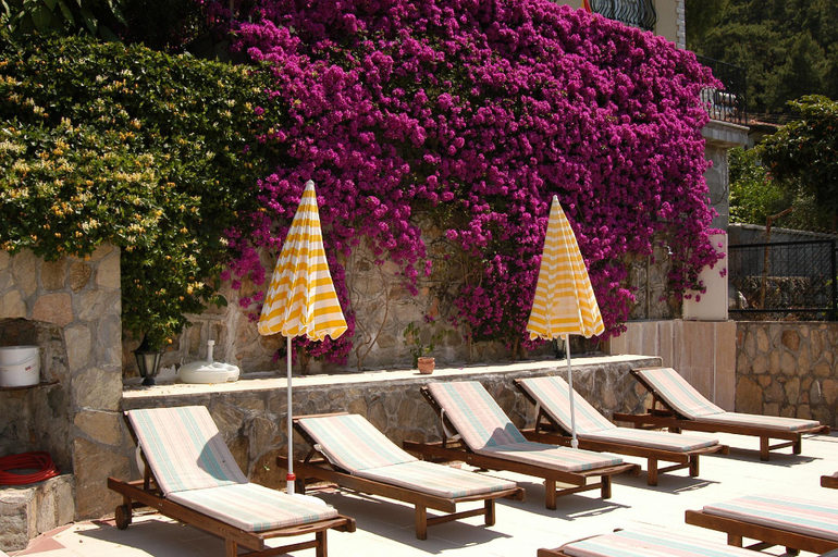 Others, Villa Daffodil Hotel, Fethiye