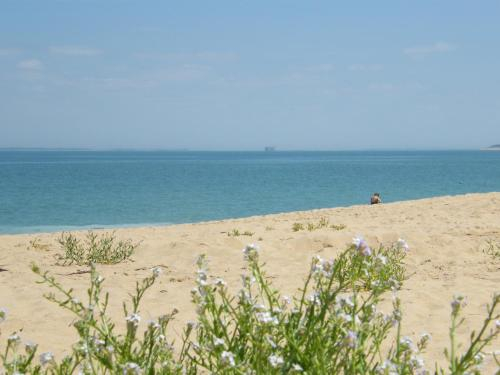 La Lumineuse, Charente-Maritime